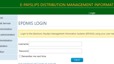 smart zambia epayslip self-service portal
